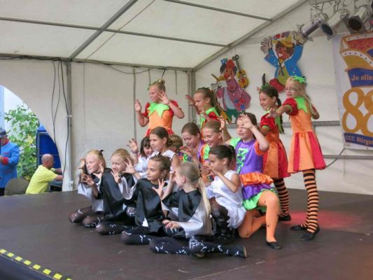 Strassen-_und_Hoffest 2014_011.jpg